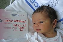 Sofie Barvíková, 13. 8. 2022, Podivín, Nemocnice Břeclav, 52 cm, 3460 g