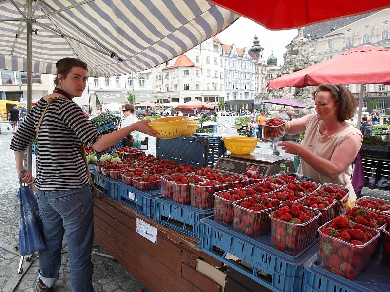 Brněnský Zelný trh po rok a půl dlouhých opravách opět zaplnily stánky s ovocem a zeleninou.