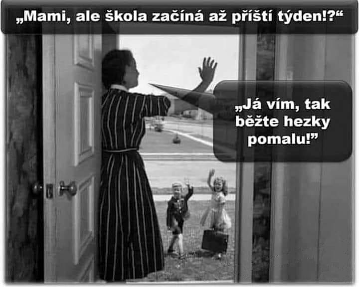 Těmito vtípky na koronavirus se lidé bavili v květnu na sociálních sítích. Poslední týdny zpestřila i ministryně financí Alena Schillerová a její (ne)angličtina.