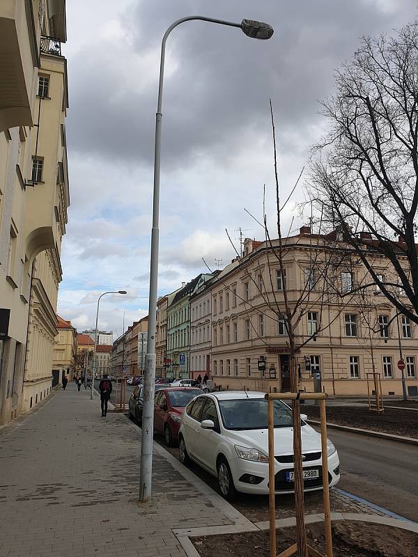 V opravené Gorkého ulici v Brně stojí vedle vysazených stromů dopravní značky nebo nad nimi visí lampy veřejného osvětlení.