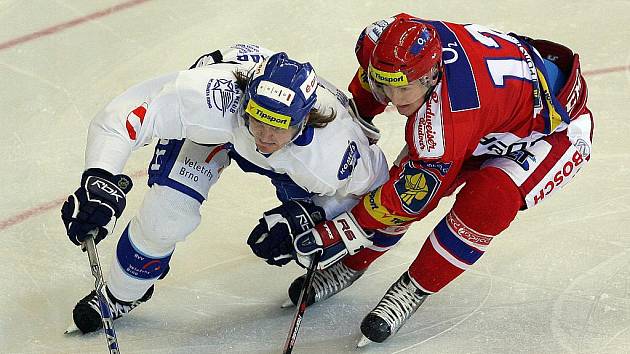 Kometa Brno vs České Budějovice.