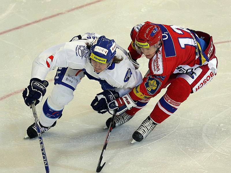 Kometa Brno vs České Budějovice.