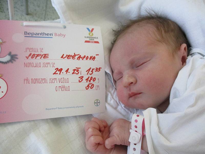 Sofie Nečasová, 29. 1. 2023, Břeclav, Nemocnice Břeclav, 50 cm, 3180 g