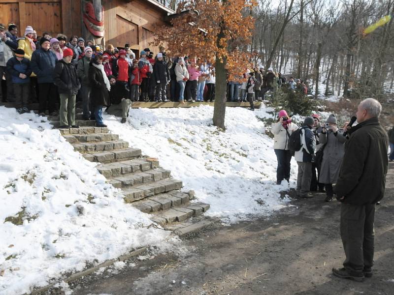 Lední medvěd Tom opouští zoo v Brně.