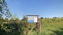 Spory o výstavbu ragbyového hřiště řeší v brněnských Černovicích.