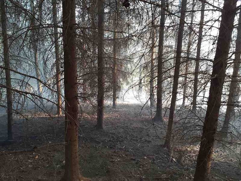 Požár včelína v Níhově na Brněnsku.