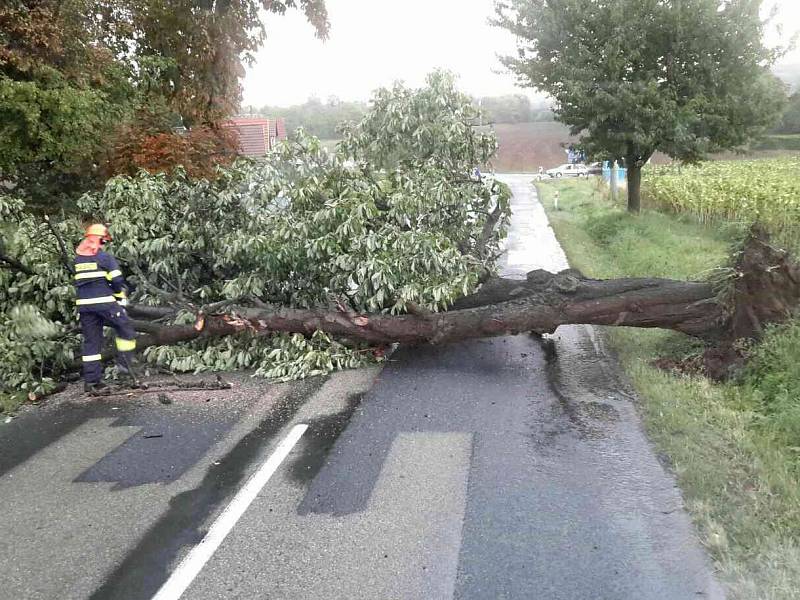 Jihomoravští hasiči se celou noc nezastavili. Bouřky a vítr v noci na pátek porážely stromy, desítky tisíc lidí byly bez elektřiny.