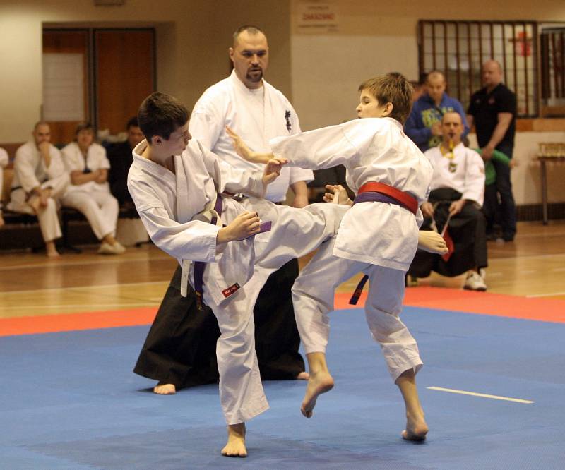 V Brně se konal Hausnerův národní putovní pohár v karate.