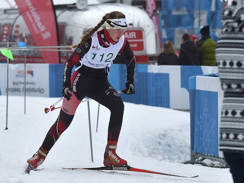 Olympijský festival v areálu brněnského výstaviště.