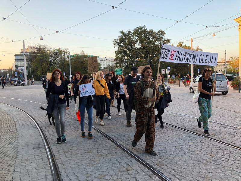 Třicítka účastníků pochodu chtěla upozornit na kácení deštných pralesů.