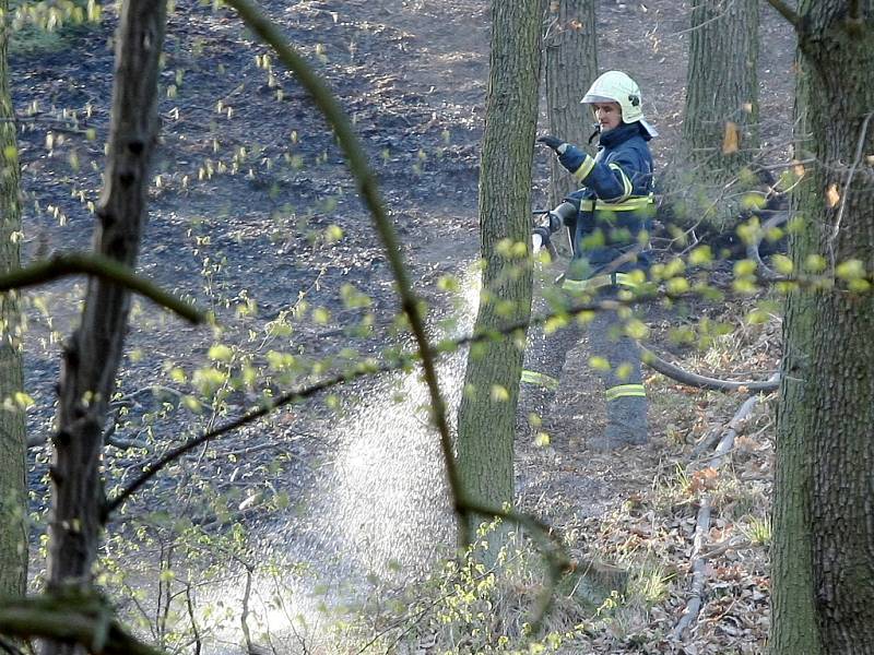 Devět jednotek hasičů likvidovalo požár lesa v brněnské městské části Jundrov.