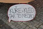Lidé sbírali před brněnským výstavištěm podpisy pod petici pro zákaz klecového chovu slepic.