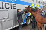 Policisté v Brně byli v pohotovosti již v sobotu po poledni.