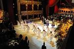 Třetí ročník reprezentačního plesu města Brna nazvaný Ples před oponu se opět konal v Mahelově divadle.
