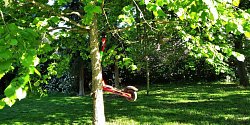 Někteří uživatelé sdílené koloběžky parkují třeba do koruny stromů v brněnském parku Lužánky.