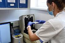 Laboratoře v Dětské nemocnici FN Brno, kde se testují vzorky na covid-19. Ilustrační foto