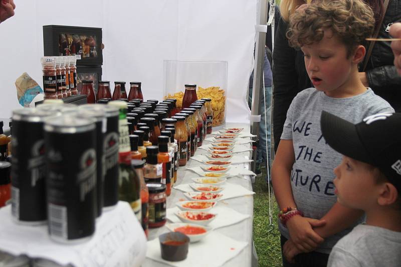 Festival Chillibraní 2017 na brněnské Riviéře.