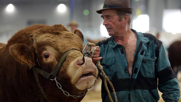 Veletrh Animal Tech v Brně.