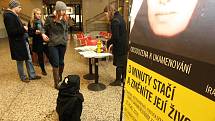 Pracovníci brněnské pobočky Amnesty International ve čtvrtek uspořádali happening v pasáži Alfa proti násilí páchanému na ženách.