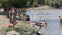 V úmorných vedrech lidé zaplnili břehy Brněnské přehrady. Sucho její vodě paradoxně svědčí. Sinice se tam nemnoží.
