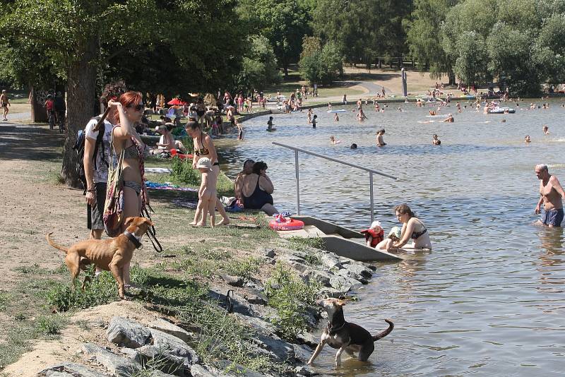 V úmorných vedrech lidé zaplnili břehy Brněnské přehrady. Sucho její vodě paradoxně svědčí. Sinice se tam nemnoží.