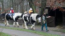 Štědrý den v brněnské zoo.