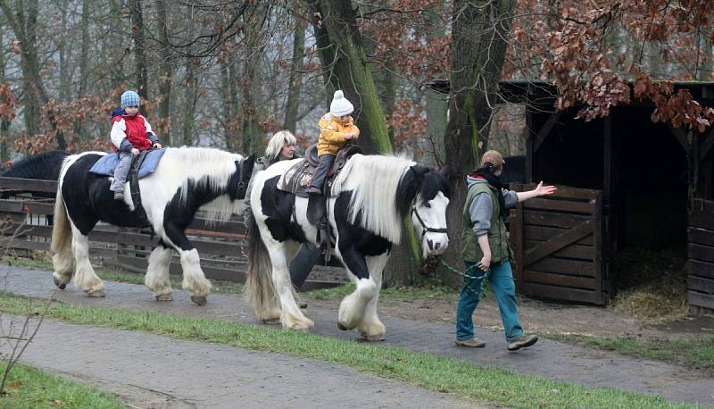 Štědrý den v brněnské zoo.