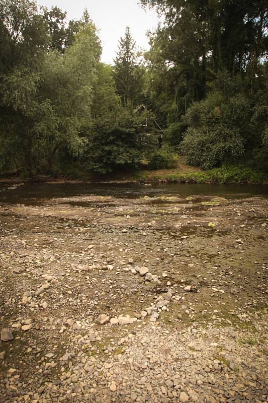 Kvůli suchu v Brně a okolí klesají hladiny řek a schne úroda.