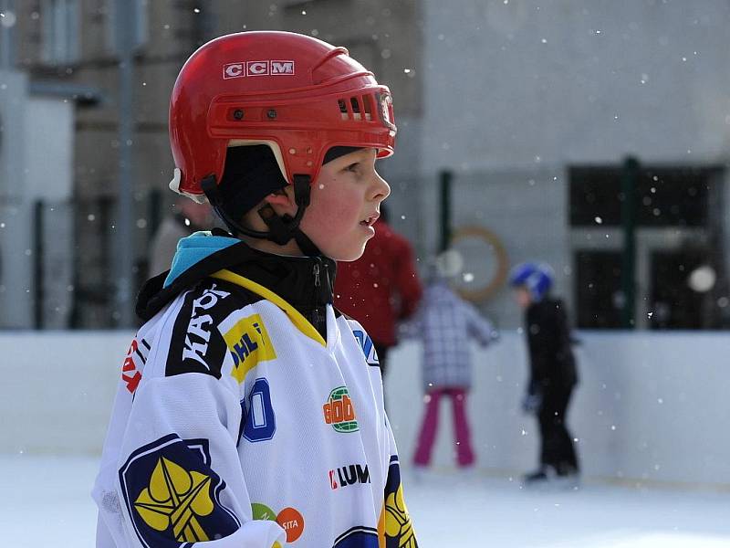 Veselý karneval na ledě v brněnských Nových Sadech.