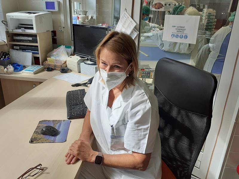 Dvanáct pacientů aktuálně leží s koronavirem v bohunické fakultní nemocnici v Brně.