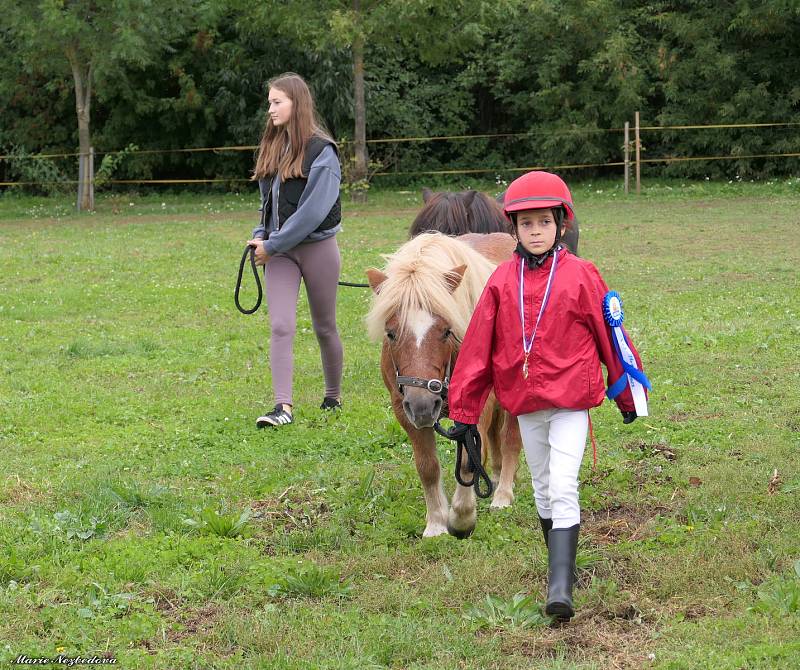 První říjnovou sobotu se letos naposledy otevřely brány dostihového závodiště v Brně-Dvorskách.