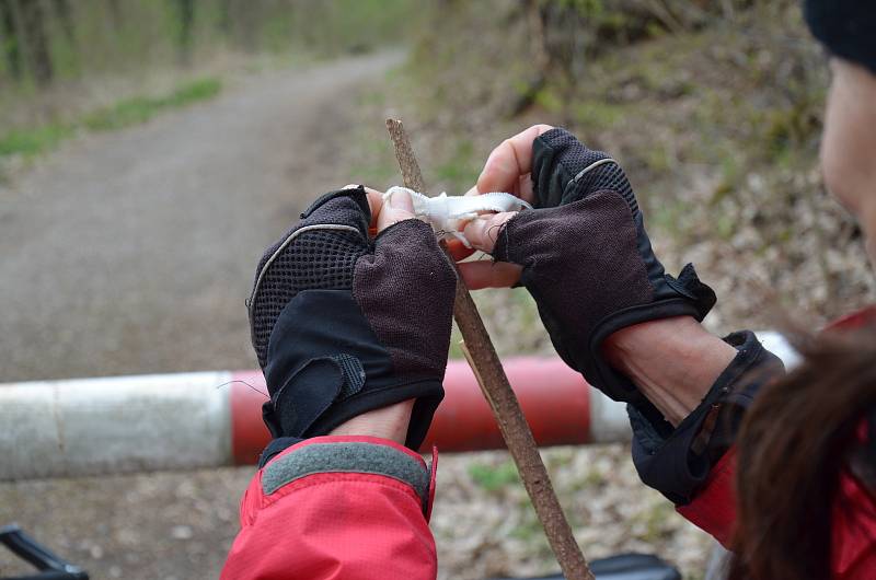 Při sbírání Žákovská využívá bílé chloupkaté plátno, na které se klíšťata snadněji zachytí.