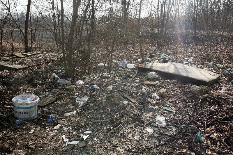 Poházené plastové lahve a plechovky v parcích, černé skládky v lese nebo krabice od vína u řeky. Nepořádek, který hyzdí veřejný prostor, se 8. dubna už počtvrté vydají Brňané uklidit. Startuje akce s názvem Ukliďme Česko.