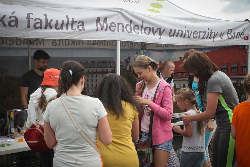 Děti a studenti hráli ve středu za Lužánkami kuličky. Na akci s názvem Kuličkiáda ochutnali také výrobky z cizrny a hrachu.