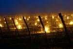 V úterý 7. května zástupci Vinařství Šebesta zapalovali svíce, aby uchránily své vinohrady v Březí před mrazem.