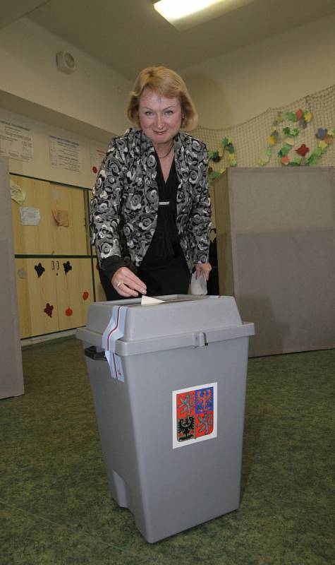 Jihomoravská jednička Strany zelených do parlamentních voleb Jitka Seitlová.