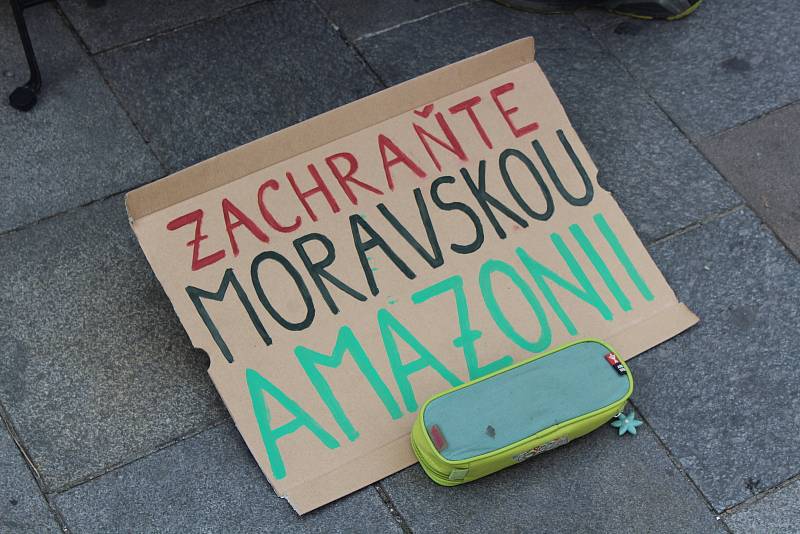 Brňané dnes mohou podepsat petici za záchranu Moravské Amazonie.