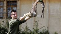 Záchranná stanice v Rajhradě na Brněnsku vrátila v úterý do přírody první letošní větší skupinu uzdravených ptáků.