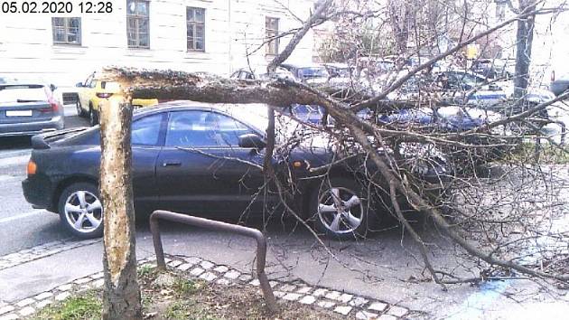 Strážníci v Brně řešili v souvislosti se silným větrem zhruba dvacet záležitostí.