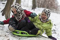 Děti z lesních školek si užívají zimní zábavu venku.