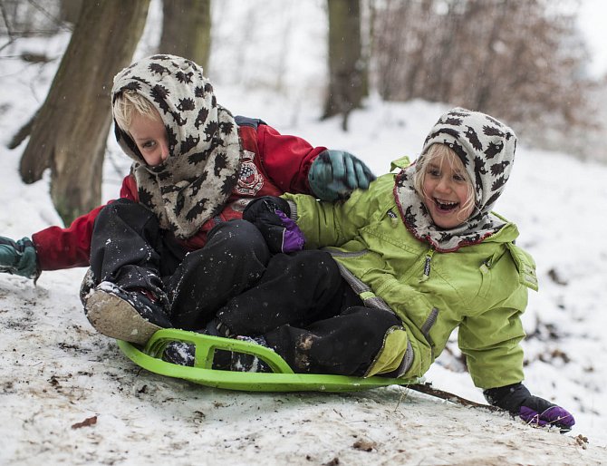 Děti z lesních školek si užívají zimní zábavu venku.