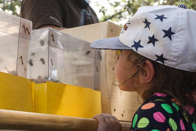 Zájemci si z festivalu Mendel je... včelař mohli odnést i vlastní vyraženou minci nebo ochutnat vzorky medu různých druhů.