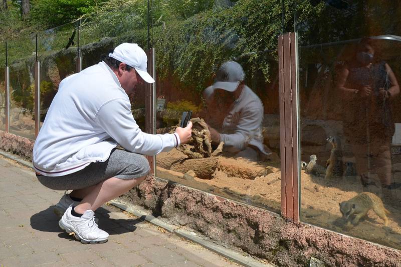 Otevření zoologické zahrady a obchodů v Brně.