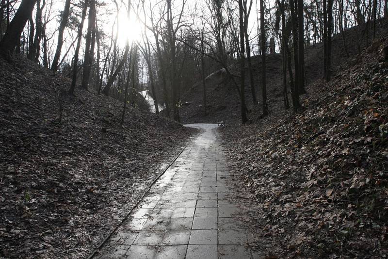 Návštěvníkům parku Čertova rokle slouží několik dětských hřišť i značená stezka upozorňující na rostliny a živočichy, se kterými se mohou lidé v parku setkat. 