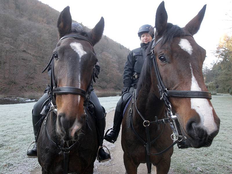 Policejní kontrola v chatové oblasti u Čučic na Brněnsku.