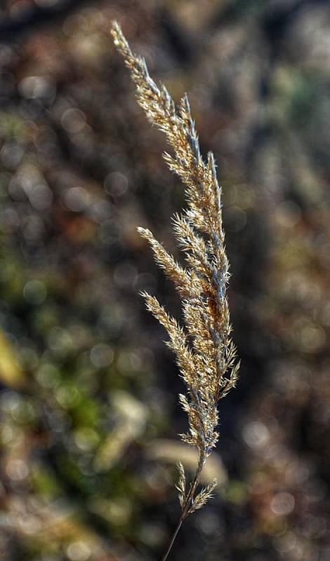 Putování kolem Střelic bylo plné kouzelných detailů i neobvyklých pohledů. Fotografka si vyhrála se skleněnou koulí..