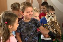 Lidem se v Brně otevřelo nové centrum lesní pedagogiky. Mohou se v něm vzdělávat zdarma