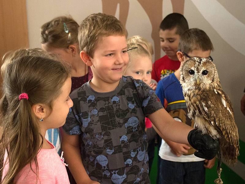 Lidem se v Brně otevřelo nové centrum lesní pedagogiky. Mohou se v něm vzdělávat zdarma