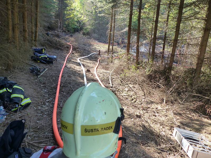 Šlehající plameny likvidovali v pátek po druhé hodině odpoledne jihomoravští hasiči v lese u Všechovic na Brněnsku. Oheň v nepřístupném terénu krotili i pomocí vrtulníku s bambivakem.