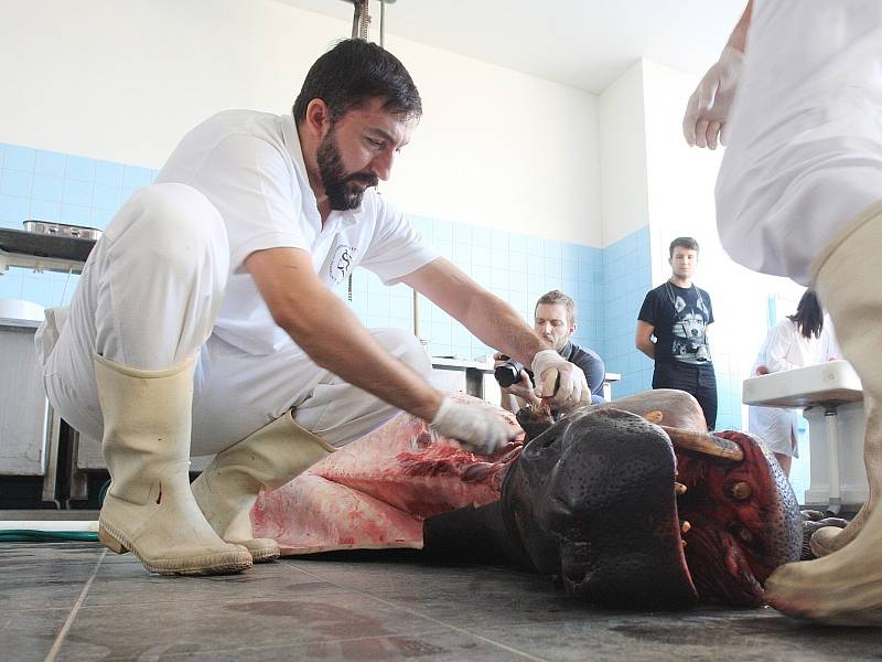 Netradiční pitvy se zúčastnili nejenom odborníci Masarykovy i veterinární univerzity, ale také studenti. Organizátoři tak chtějí k biologii a příbuzným vědním oborům přilákat mladou generaci.